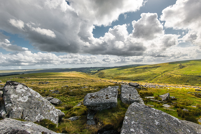 Dartmoor - 20140811