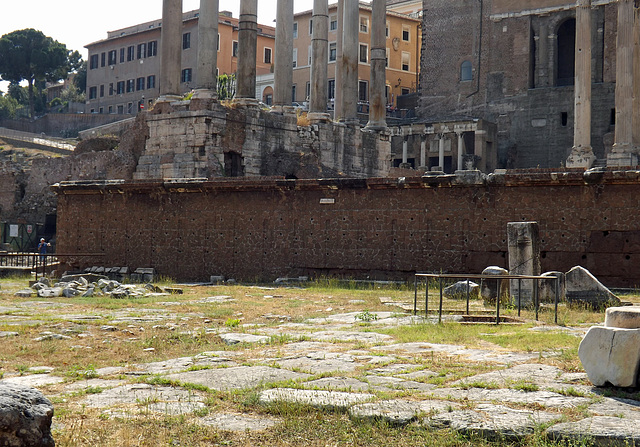 The Rostra in the Forum Romanum, July 2012