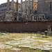 The Rostra in the Forum Romanum, July 2012