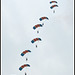 RAF Falcons