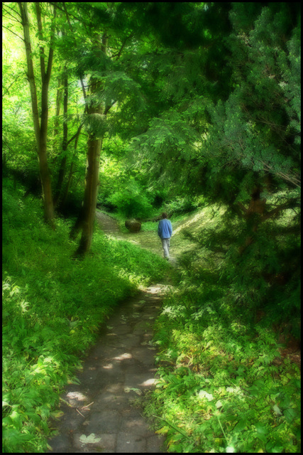 walk in thepark
