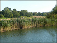 last glimpse of Nuneham House