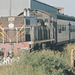 197301Bris3813073