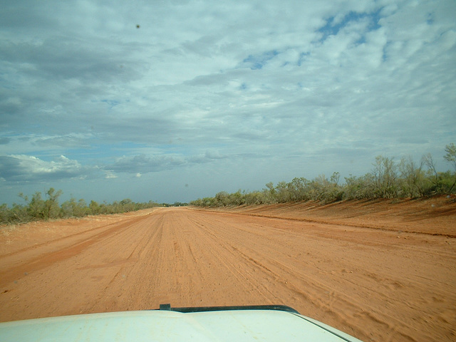 Jersey 067 Louth - Cobar