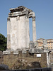 The Temple of Vesta in the Roman Forum, June 2012