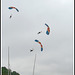 RAF Falcons