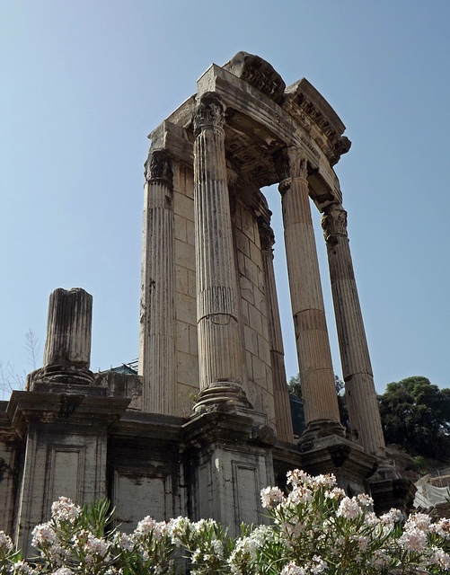 The Temple of Vesta in the Roman Forum, June 2012