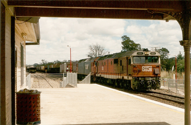 199404Marulan0002