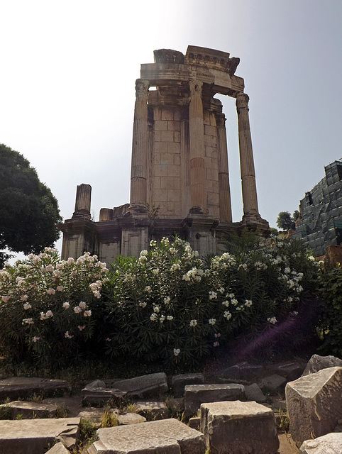The Temple of Vesta in the Roman Forum, June 2012