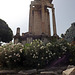 The Temple of Vesta in the Roman Forum, June 2012