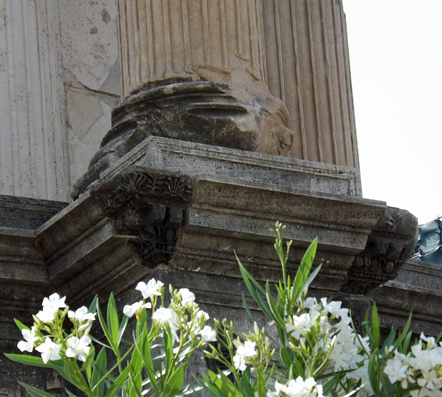 Remains of the Original Moulding on the Temple of Vesta in the Roman Forum, June 2012