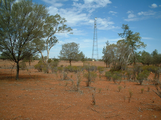 Jersey 082 Cobar area