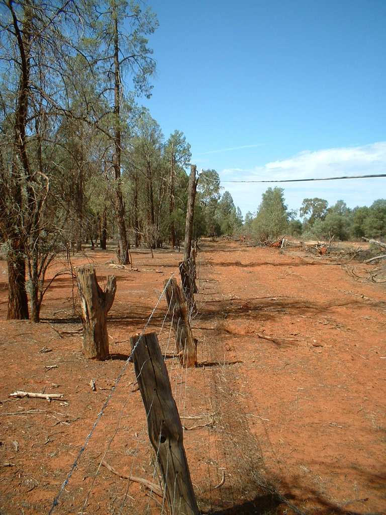 Jersey 083 Cobar area