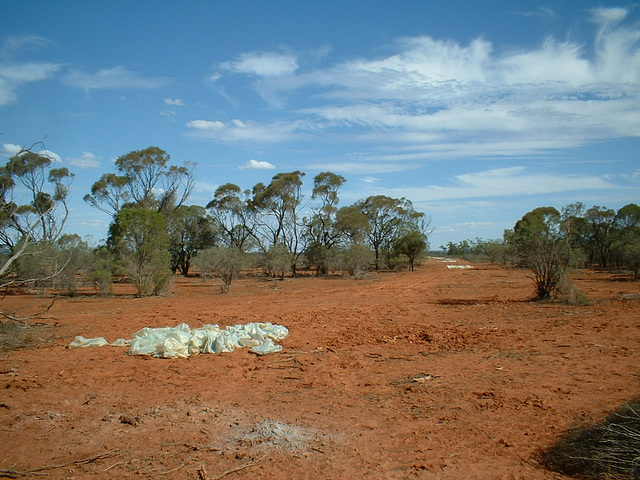 Jersey 085 Cobar area