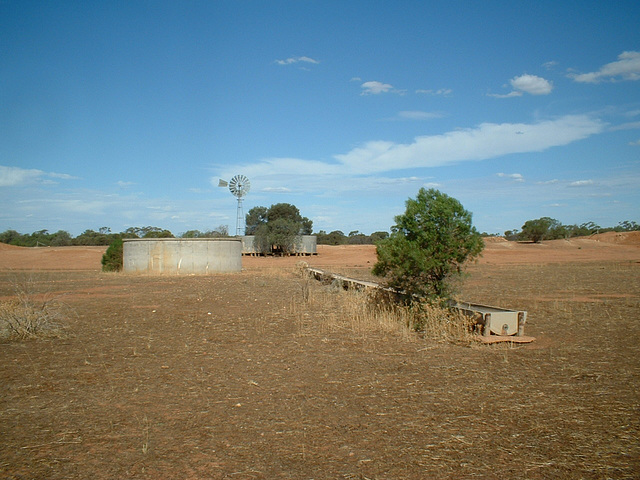 Jersey 087 Cobar area