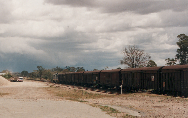 199410Marulan0004