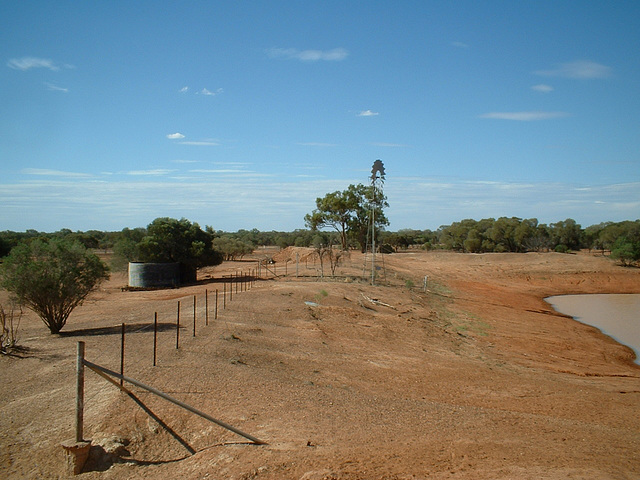 Jersey 088 Cobar area