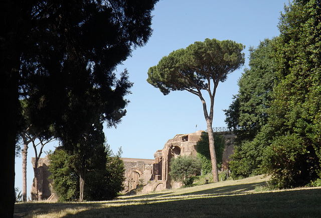 The Palatine Hill, June 2012