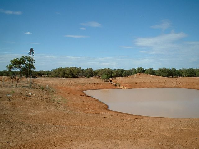 Jersey 089 Cobar area