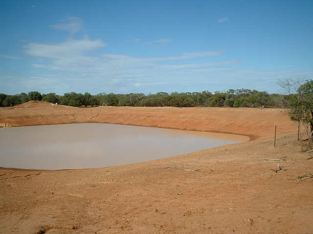 Jersey 090 Cobar area