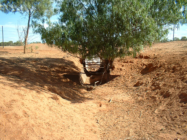 Jersey 092 Cobar area