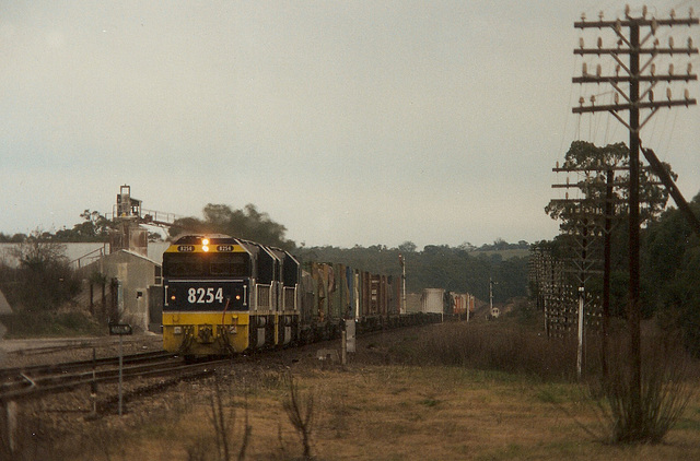 199400Marulan0001