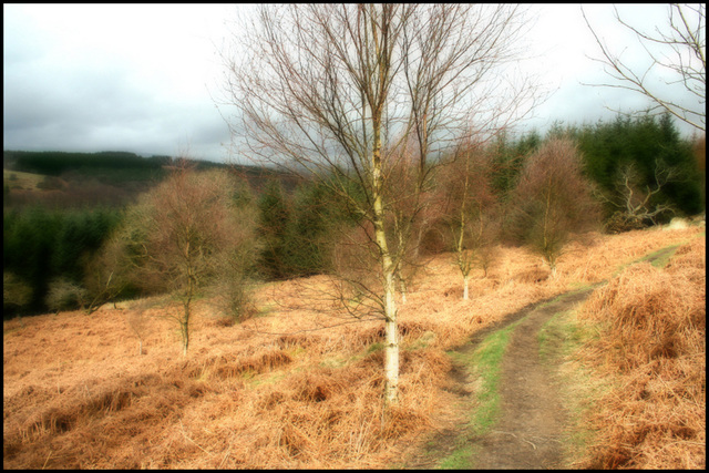 dry underfoot