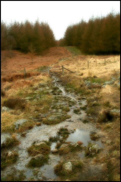 wet underfoot