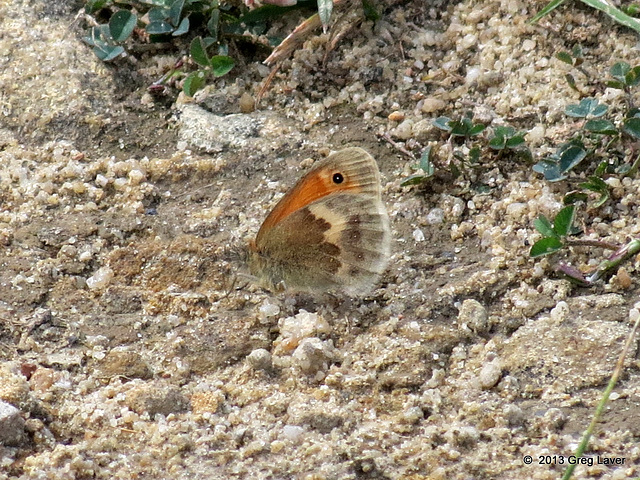 Small Heath