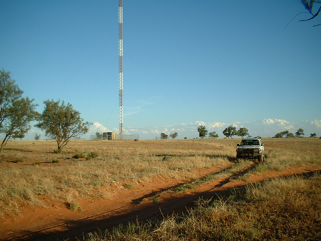 Jersey 101 Wilcannia area