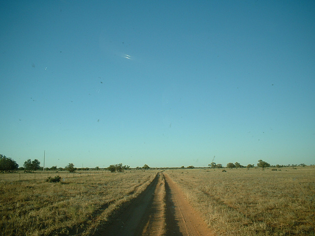 Jersey 102 Wilcannia area