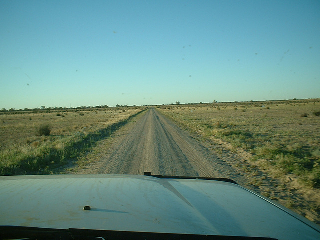 Jersey 104 Wilcannia area