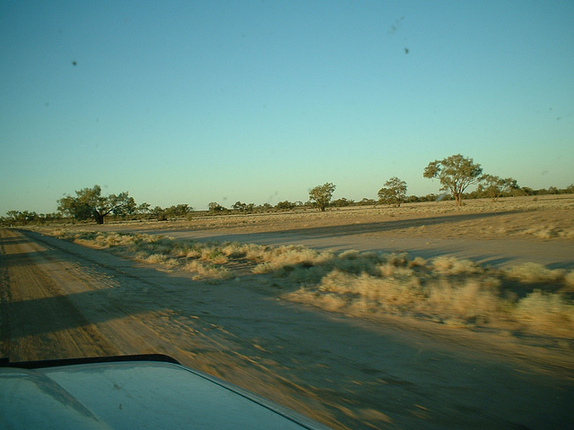 Jersey 106 Wilcannia area