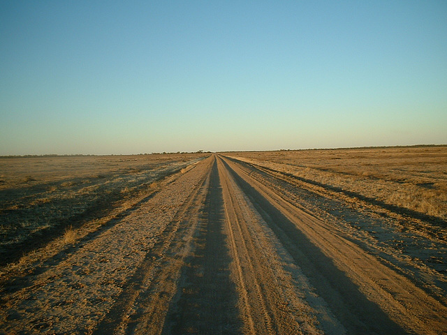 Jersey 107 Wilcannia area