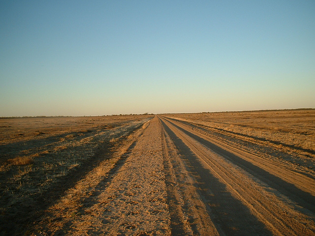 Jersey 108 Wilcannia area