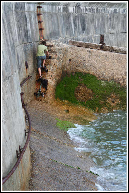 Climbing the groyns