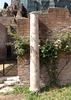 Column in the House of the Vestal Virgins in the Forum Romanum, June 2012