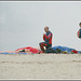 Falcons on the sand