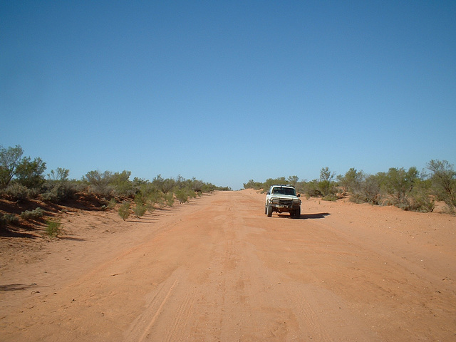 Jersey 123 Wilcannia - Purnanga