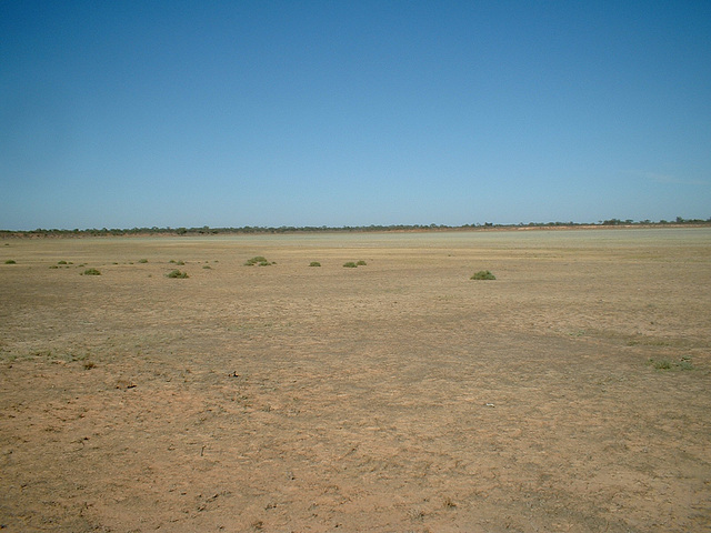 Jersey 125 Wilcannia - Purnanga