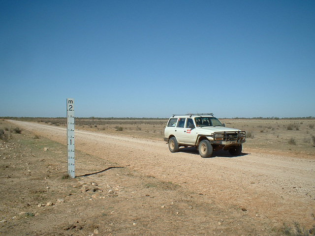 Jersey 126 Wilcannia - Purnanga