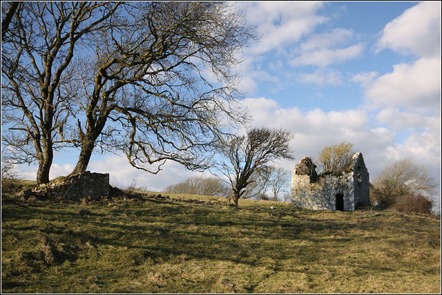 The Columbaria