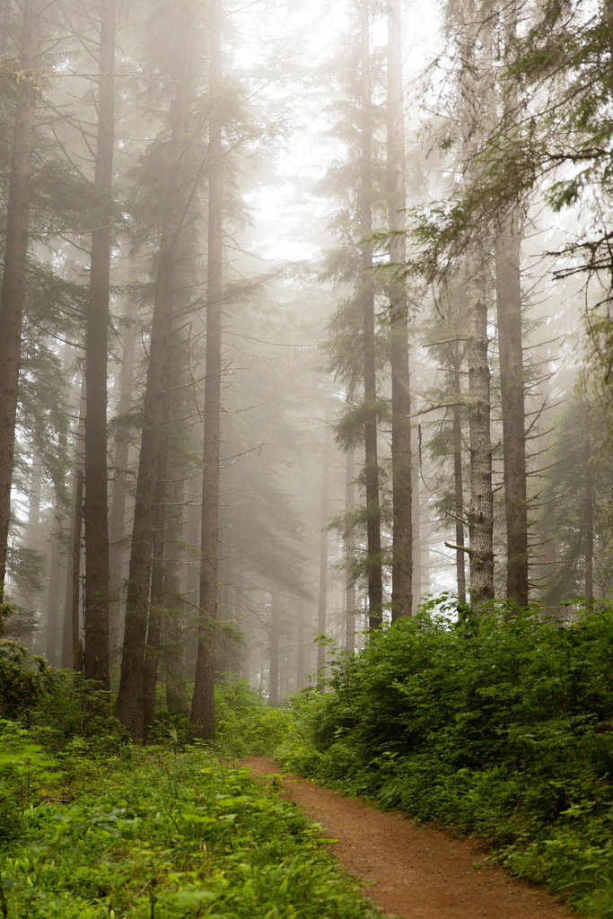 Along the Ossagon Trail