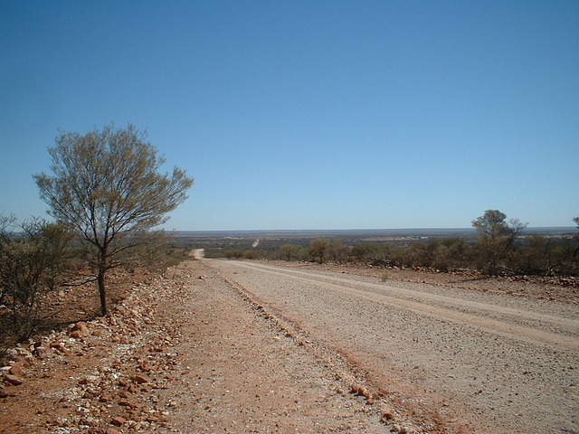 Jersey 131 Wilcannia - Purnanga