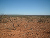 Jersey 132 Wilcannia - Purnanga