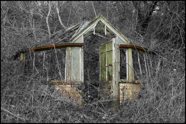 nature reclaims
