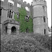 Castle ruin