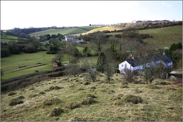 Valley view