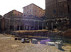 Porticus of the Consenting Gods in the Forum Romanum, July 2012