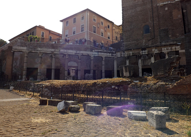 Porticus of the Consenting Gods in the Forum Romanum, July 2012